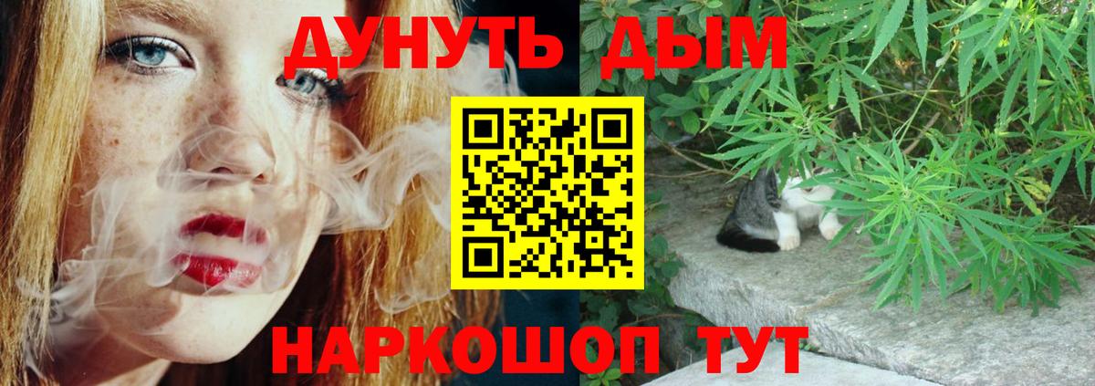 Бошки Шишки AK-47  Конопля планчик  Вход с VPN  Ессентуки  Бошки Шишки план  Бошки марихуана сатива 